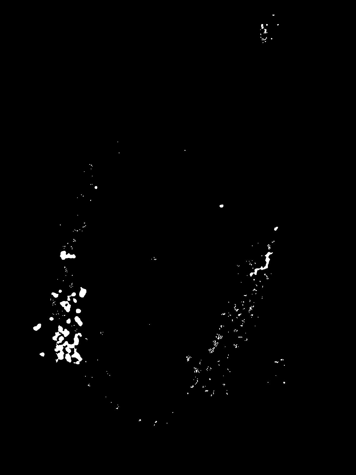 Combined detection mask